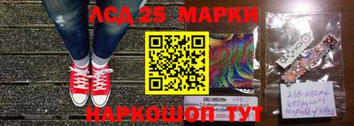 шишки Новозыбков