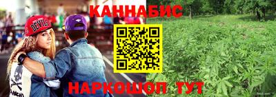 шишки Новозыбков