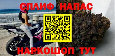шишки Новозыбков