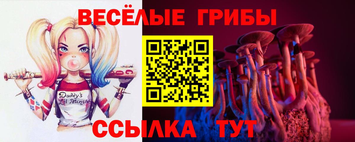 магазин продажи наркотиков  Галлюциногенные грибы мицелий  Вход с VPN  Сокол 