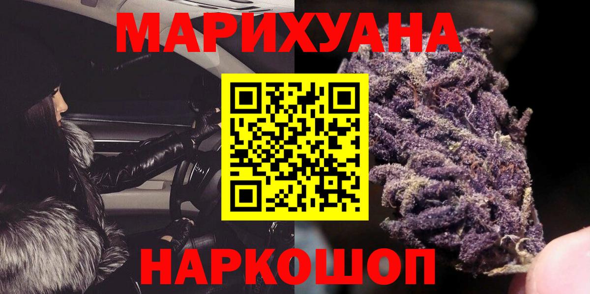 Каннабис планчик  Бошки марихуана семена  Марихуана OG Kush  Вход с VPN  Сокол 